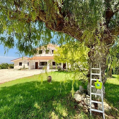 Villa Andrea San Lorenzo 노토 외부 사진