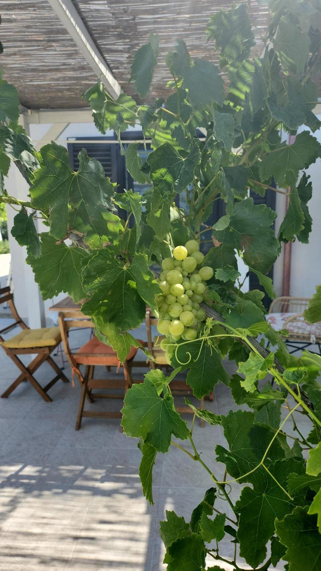 Villa Andrea San Lorenzo 노토 외부 사진